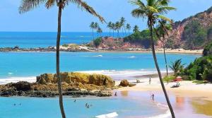 a beach with palm trees and people in the water at Casa Nordestina in Nísia Floresta
