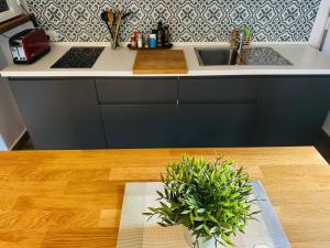 a kitchen with a sink and a table with a plant at El nido de aguila in Casares +48 photos