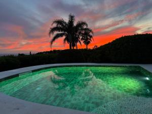 ein Swimmingpool mit einer Palme und einem Sonnenuntergang in der Unterkunft Monte Borboleta - Villas, Apartments in Faro + 86 Fotos