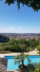a swimming pool with a potted plant next to it at Les Terrasses de Besançon in Besançon