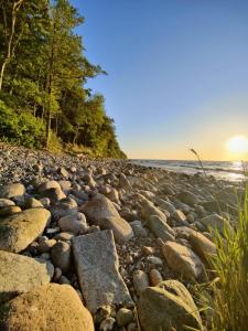 a rocky beach with trees and the ocean at Labahn in Lohme