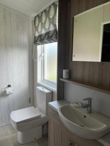 a bathroom with a toilet and a sink and a mirror at Edmonton Lodge in Clitheroe +12 photos
