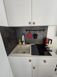 a kitchen with a sink and a counter top at Studio Apartments - Pula city center in Pula