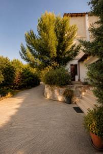 a driveway leading to a house with a tree at SkyVista Villa in Iraklitsa