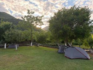 a group of tents in a field with trees at Guesthouse Feel Lake in Virpazar