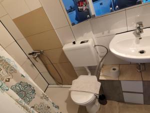 ein kleines Badezimmer mit Toilette und Waschbecken in der Unterkunft imperial 3 in Leuenberg