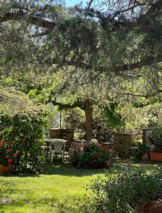 a garden with a table and a bench and flowers at La Poltrona del Diavolo in Montenero +23 photos