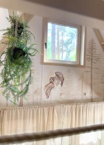 a window in a room with plants on the wall at Wonderwild C79, Dog Friendly in Lanaken +53 photos