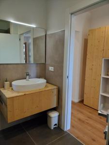 a bathroom with a sink and a mirror at Casa Silva in Pieve Tesino