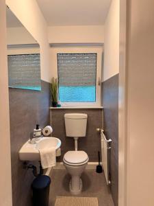 a bathroom with a toilet and a sink and a window at Ferienwohnung Weinrebe in Oppenheim