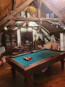 a living room with a pool table in it at La Petite Ferme in Vouzeron
