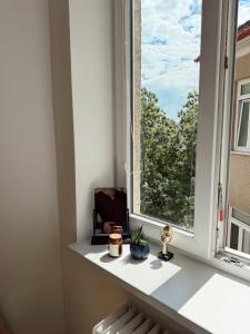 a window with a view of a tree at Milada 7 Suits in Brno