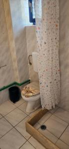 a bathroom with a toilet with a shower curtain at Sky Eye Studios in Kokkini Khanion