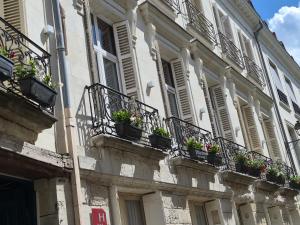 a building with potted plants on the side of it at Hotel Du Cygne Tours in Tours