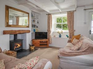 a living room with a couch and a fireplace at Gwynn Cottage in Bodmin