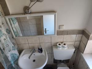 ein Badezimmer mit Waschbecken, Toilette und Spiegel in der Unterkunft imperial 1 in Leuenberg + 10 Fotos