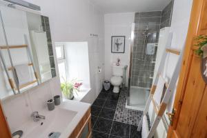 a bathroom with a sink and a toilet and a shower at Tí Maolla in Hollymount