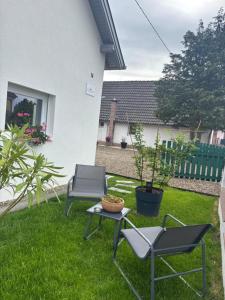 two chairs and a table in a yard at Le Gîte des petits Loups in Walbourg