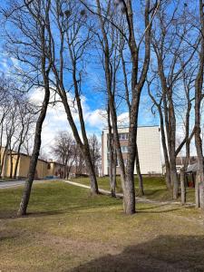 a group of trees with a building in the background at Skersgatvio Apartmentai in Zarasai +8 photos