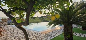 a swimming pool in a yard with a palm tree at Privat Pool Garden Villa in Gjilek