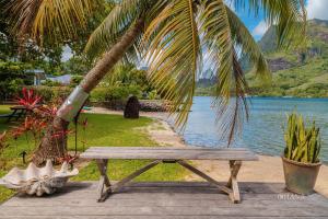 a wooden bench sitting under a palm tree next to a lake at Villa Ohana - 4BR Beachfront Villa in Paopao