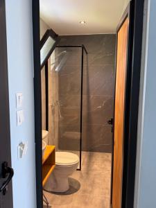 a bathroom with a toilet and a shower at Palms Guest House in Himare +59 photos