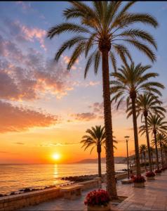 a group of palm trees on a beach at sunset at Oliver Santiago Mallorca in Cala Figuera