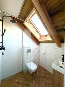 a bathroom with a toilet and a skylight at Przystań Jeziorna in Pasym +17 photos