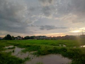 a field of grass with the sun setting in the background at KUNGHORk in Ban Nong Chaeng