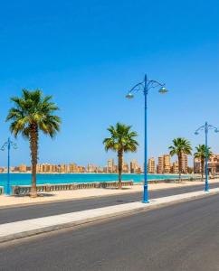 a street with palm trees on the side of a road at شاليه العميد chalet in Marsa Matruh