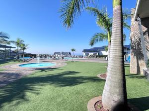 a palm tree in a park with a fountain at Beach Paradise in Ballito