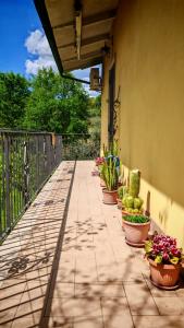 a walkway with potted plants on the side of a building at Casa Vanda in Orte