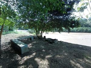 a bench sitting under a tree in a park at APTO CENTRO DE MELGAR CON PISCINA EN CONJUNTo in Melgar