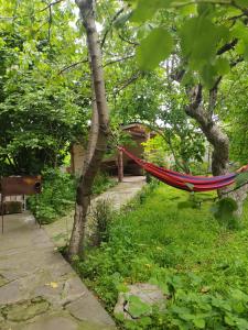 a hammock hanging from a tree in a garden at STEPANAVAN guesthouse in Stepʼanavan