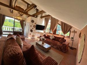 a living room with a couch and a tv at Honor-Penthouse in Linz
