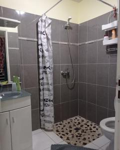a bathroom with a shower and a toilet at Le Touloulou , vue mer et jardin tropical in Le Lorrain +28 photos