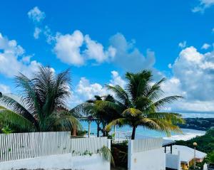 a white fence with palm trees in front of a beach at Le Touloulou , vue mer et jardin tropical in Le Lorrain