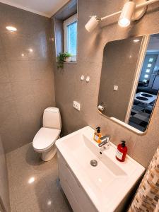 a bathroom with a sink and a toilet and a mirror at Nordic Home Finja in Hässleholm