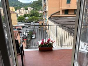a balcony with a pot of flowers on a balcony at I Tulipani in Genoa