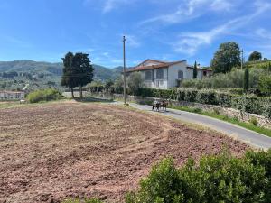 two horses walking down a road next to a field at Lucciano Suite in Quarrata