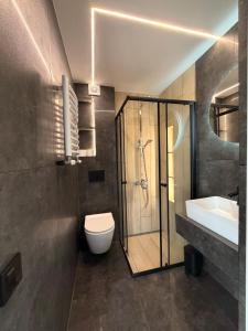 a bathroom with a shower and a toilet and a sink at ArtMi in Lazeshchyna