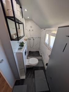 a small bathroom with a toilet and a sink at Balatonfenyvesparti kisház in Balatonfenyves