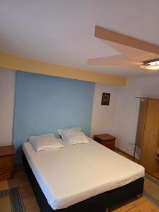 a bedroom with a white bed with a blue wall at Happy Family in Suceviţa