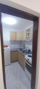 a kitchen with a sink and a stove top oven at Apartmani Vlatkovic 1 Zavojsko jezero in Pirot