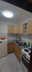 a kitchen with a sink and a stove top oven at Apartmani Vlatkovic 1 Zavojsko jezero in Pirot