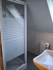 a bathroom with a shower and a sink and a toilet at Ferienwohnung Weyer in Villmar +7 photos