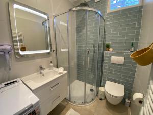 a bathroom with a shower and a toilet and a sink at Arany Toboz Vendégház in Siófok