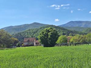 a house in a field with mountains in the background at Apartman ISKRA in Mataruška Banja