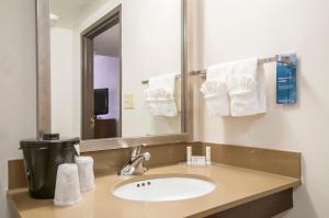 a bathroom with a sink and a mirror and towels at Fairfield Inn & Suites by Marriott Dallas DFW Airport South/Irving in Irving +27 photos
