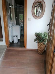 a hallway of a house with a mirror and a plant at Casa dos Ramos in Rio de Fornos